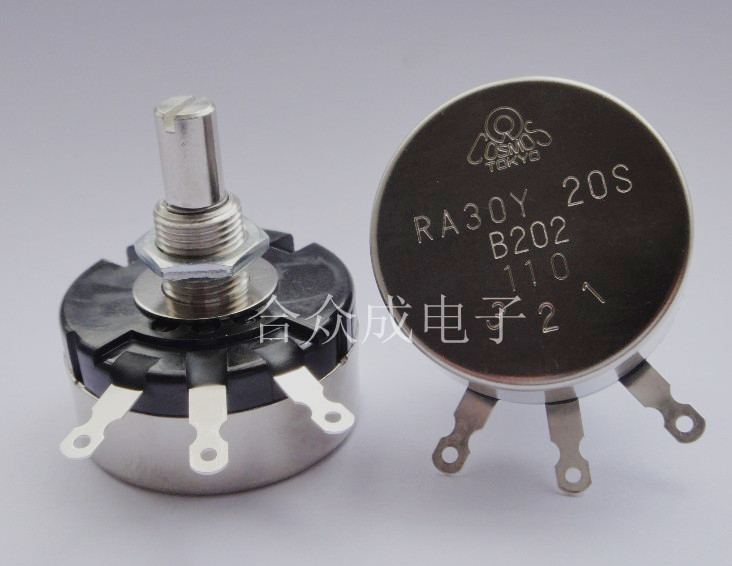 RA30Y20S