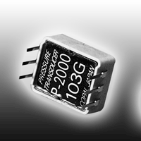 (module) P-2000